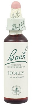 HOLLY BACH ORIGINAL 10 ML - Farmacia Rossi2 - Farmacia Rossi 