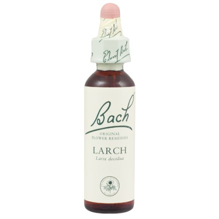 LARCH BACH ORIGINAL 10 ML - Farmacia Rossi2 - Farmacia Rossi 