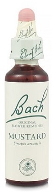 MUSTARD BACH ORIGINAL 10 ML - Farmacia Rossi2 - Farmacia Rossi 