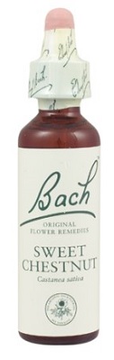 SWEET CHESTNUT BACH ORIGINAL 10 ML - Farmacia Rossi2 - Farmacia Rossi 