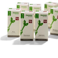 CISTO MACERATO GLICERICO 50 ML - Farmacia Rossi2 - Farmacia Rossi 