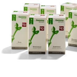 TIGLIO MACERATO GLICERICO 100 ML - Farmacia Rossi2 - Farmacia Rossi 