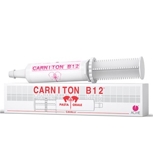 CARNITON B 12 PASTA 1 SIRINGA 100 G - Farmacia Rossi2 - Farmacia Rossi 