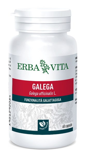 GALEGA 60 CAPSULE - Farmacia Rossi2 - Farmacia Rossi 