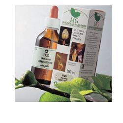 CARPINO 100 ML MACERATO GLICERICO - Farmacia Rossi2 - Farmacia Rossi 