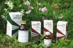 RAEMIL ROSMARINO OLIO 25 ML - Farmacia Rossi2 - Farmacia Rossi 