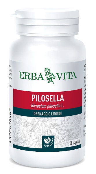 PILOSELLA 60 CAPSULE 400 MG - Farmacia Rossi2 - Farmacia Rossi 