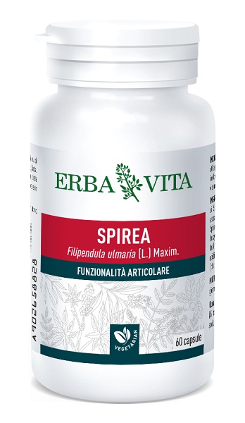 SPIREA ULMARIA 60 CAPSULE 400 MG - Farmacia Rossi2 - Farmacia Rossi 