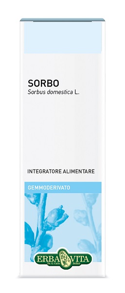 GEMMODERIVATO SORBO 50 ML - Farmacia Rossi2 - Farmacia Rossi 