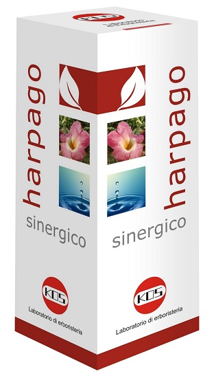 HARPAGO SINERGICO GOCCE 100 ML - Farmacia Rossi2 - Farmacia Rossi 