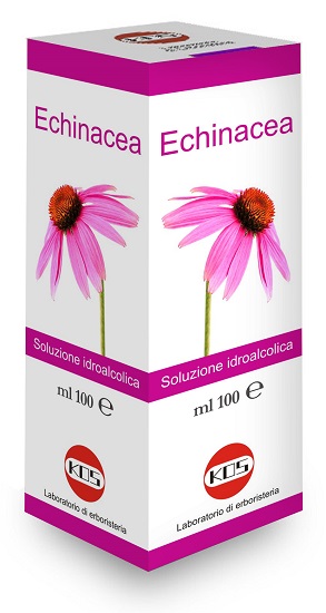 ECHINACEA SOLUZIONE IDROALCOLICA PIANTA FRESCA 100 ML - Farmacia Rossi2 - Farmacia Rossi 