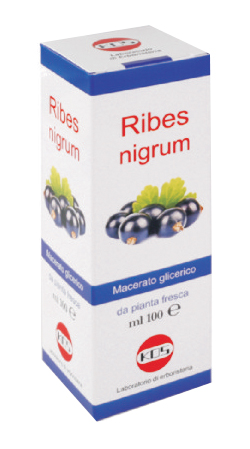 RIBES NIGRUM MG 100 ML GOCCE - Farmacia Rossi2 - Farmacia Rossi 