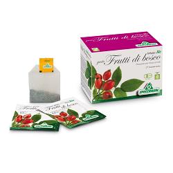 INFUSO BIO FRUTTA FRUTTI DI BOSCO 20 FILTRI - Farmacia Rossi2 - Farmacia Rossi 
