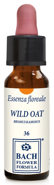 WILD OAT ORIGINAL 10 ML GOCCE - Farmacia Rossi2 - Farmacia Rossi 