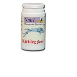 KARTILEG J 60TAV - Farmacia Rossi2 - Farmacia Rossi 