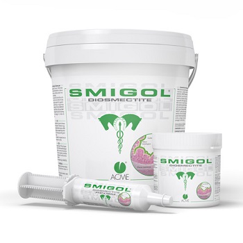 SMIGOL PASTA 1 SIRINGA 100 G - Farmacia Rossi2 - Farmacia Rossi 