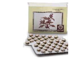 CIMICIFUGA 50 TAVOLETTE 500 MG - Farmacia Rossi2 - Farmacia Rossi 