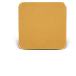 BARRIERA CUTANEA INTERAMENTE IN STOMAHESIVE PER LA PROTEZIONE DELL'AREA PERISTOMALE PLACCA STOMAHESIVE 10X10CM 5 PEZZI - Farmacia Rossi2 - Farmacia Rossi 