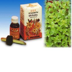 ORIGANO OLIO ESSENZIALE PURO 10 ML - Farmacia Rossi2 - Farmacia Rossi 
