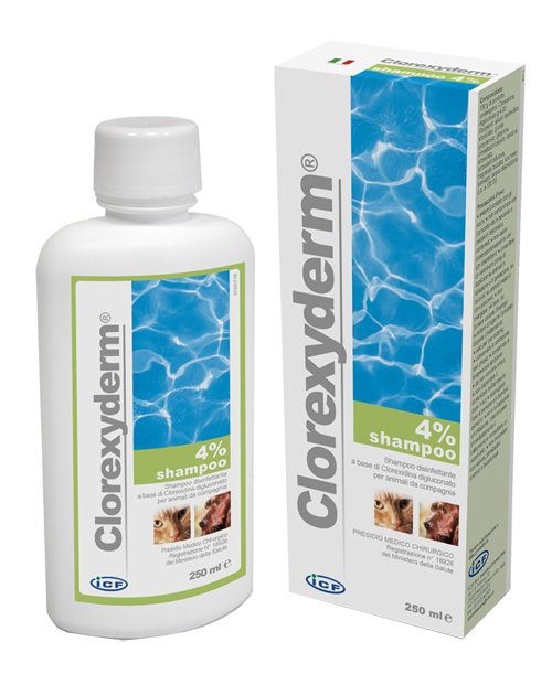 CLOREXYDERM SHAMPOO 4% 250 ML - Farmacia Rossi2 - Farmacia Rossi 