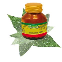MACA 60 CAPSULE - Farmacia Rossi2 - Farmacia Rossi 