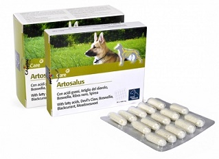 ORME NAT ARTOSALUS 60 COMPRESSE - Farmacia Rossi2 - Farmacia Rossi 