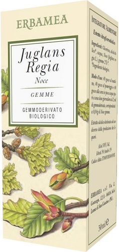 JUGLANS REGIA NOCE BIO 50 ML - Farmacia Rossi2 - Farmacia Rossi 