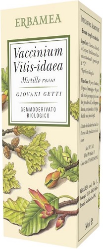VACCINIUM VITIS IDAEA MIRTILLO ROSSO BIO 50 ML - Farmacia Rossi2 - Farmacia Rossi 