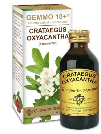 GEMMO 10+ BIANCOSPINO LIQUIDO ANALCOLICO 100 ML - Farmacia Rossi2 - Farmacia Rossi 