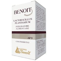 BENOIT LACTOBACILLUS PLANTHARUM 30 CAPSULE - Farmacia Rossi2 - Farmacia Rossi 