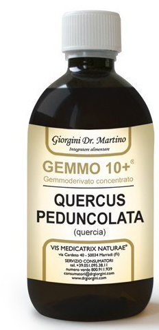 GEMMO 10+ QUERCIA 500 ML LIQUIDO ANALCOLICO - Farmacia Rossi2 - Farmacia Rossi 
