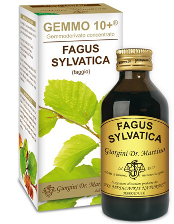 GEMMO 10+ FAGGIO 100 ML LIQUIDO ANALCOLICO - Farmacia Rossi2 - Farmacia Rossi 