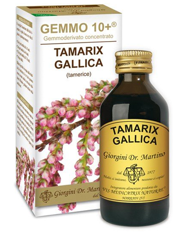 GEMMO 10+ TAMERICE 100 ML LIQUIDO ANALCOLICO - Farmacia Rossi2 - Farmacia Rossi 