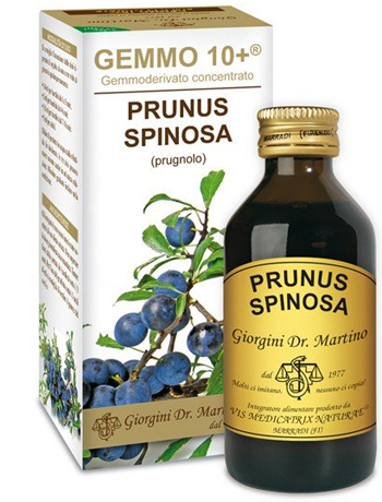 GEMMO 10+ PRUGNOLO 100 ML LIQUIDO ANALCOLICO - Farmacia Rossi2 - Farmacia Rossi 