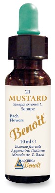 FIORI DI BACH BENOIT MUSTARD 10 ML - Farmacia Rossi2 - Farmacia Rossi 