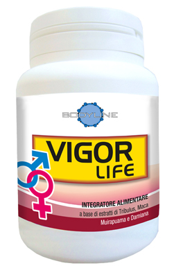 VIGOR LIFE 40 CAPSULE - Farmacia Rossi2 - Farmacia Rossi 
