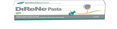 DIRENE PASTA 15 ML - Farmacia Rossi2 - Farmacia Rossi 