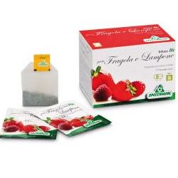 INFUSO BIO FRAGOLA E LAMPONE 20 FILTRI - Farmacia Rossi2 - Farmacia Rossi 