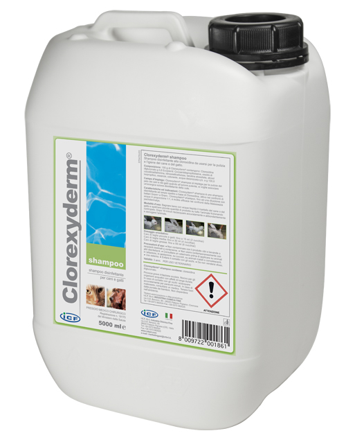 CLOREXYDERM SHAMPOO 5 LITRI - Farmacia Rossi2 - Farmacia Rossi 