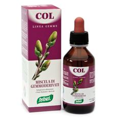 ZEFIRUS COL LINEA GEMME - Farmacia Rossi2 - Farmacia Rossi 