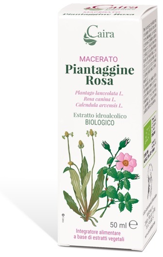 CAIRA PIANTAGGINE ROSA MACERATO IDROALCOLICO GOCCE 50 ML - Farmacia Rossi2 - Farmacia Rossi 