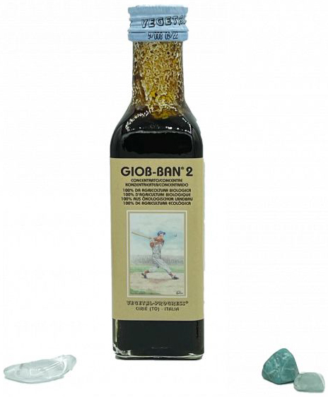 GIOB BAN 2 ART ESTRATTO CONCENTRATO BIOLOGICO 100 ML - Farmacia Rossi2 - Farmacia Rossi 