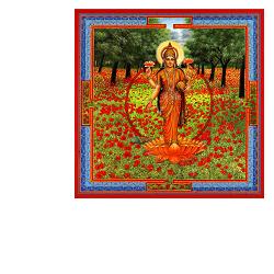 NEESHA-MA GOCCE 30 ML - Farmacia Rossi2 - Farmacia Rossi 