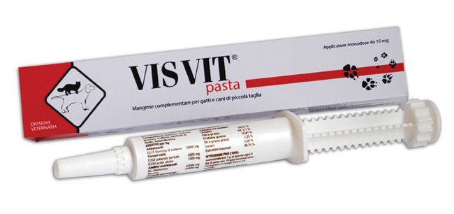 VISVIT PASTA OS SIRINGA 15 G - Farmacia Rossi2 - Farmacia Rossi 