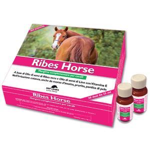 RIBES HORSE 30 FLACONI DA 25 ML - Farmacia Rossi2 - Farmacia Rossi 