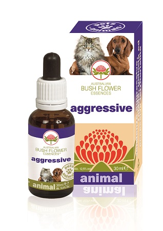 AGGRESSIVE 30 ML - Farmacia Rossi2 - Farmacia Rossi 