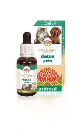 DETOX PETS 30 ML - Farmacia Rossi2 - Farmacia Rossi 