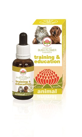 TRAINING & EDUCATION 30 ML - Farmacia Rossi2 - Farmacia Rossi 