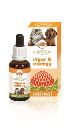 VIGOR & ENERGY 30 ML - Farmacia Rossi2 - Farmacia Rossi 