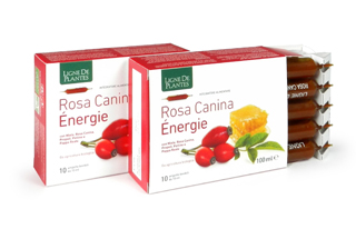 ROSA CANINA ENERGIE BIOLOGICO 10 AMPOLLE BEVIBILI DA 10 ML - Farmacia Rossi2 - Farmacia Rossi 